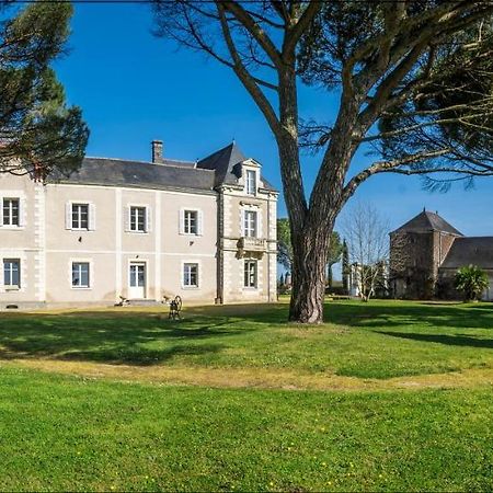 Vignoble Chateau Piegue - Winery Rochefort-sur-Loire Buitenkant foto