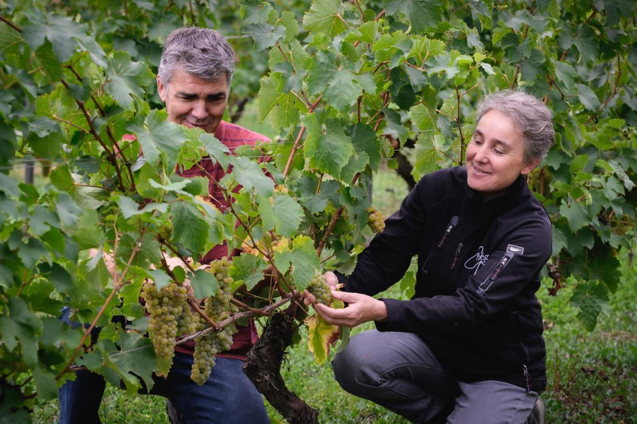 Vignoble Chateau Piegue - Winery Rochefort-sur-Loire Buitenkant foto