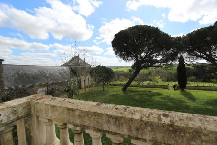 Vignoble Chateau Piegue - Winery Rochefort-sur-Loire Buitenkant foto